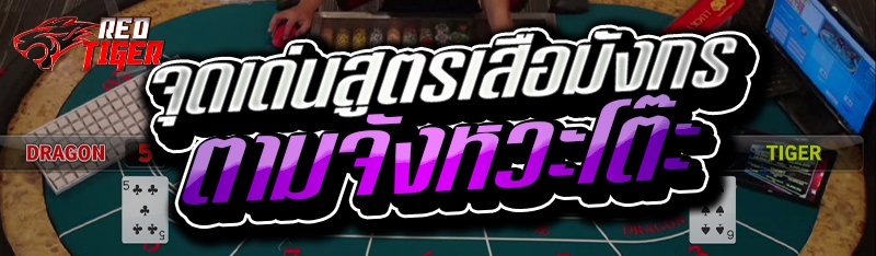 จุดเด่นสูตรเสือมังกร ตามจังหวะโต๊ะ