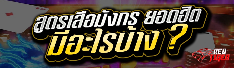 สูตรเสือมังกร ยอดฮิตมีอะไรบ้าง ?