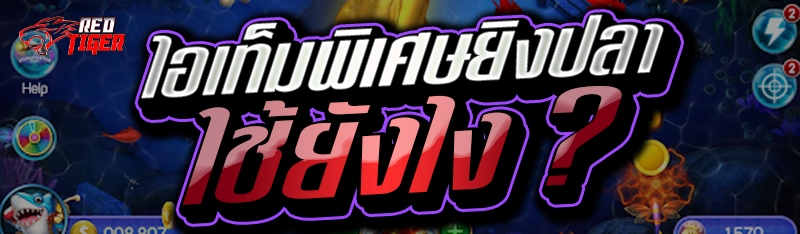 ไอเท็มพิเศษยิงปลา ใช้ยังไง ?