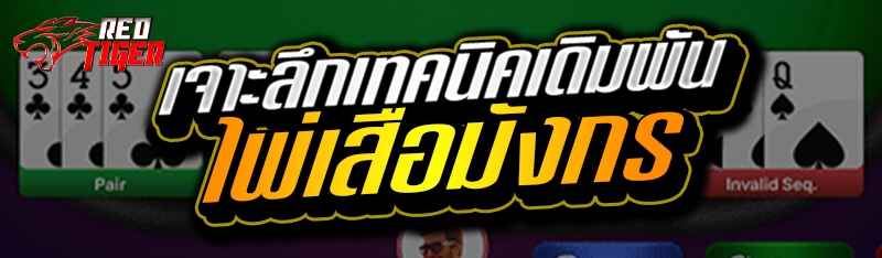 เจาะลึกเทคนิคเดิมพัน ไพ่เสือมังกร