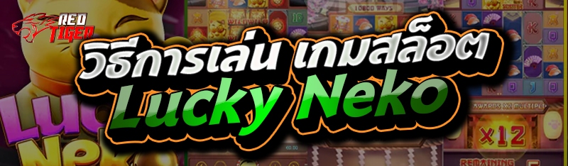 วิธีการเล่น เกมสล็อต Lucky Neko