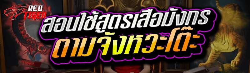 สอนใช้สูตรเสือมังกร ตามจังหวะโต๊ะ