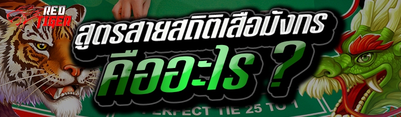 สูตรสายสถิติเสือมังกร คืออะไร ?