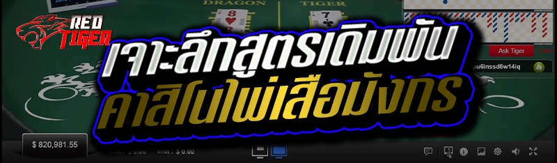 เจาะลึกสูตรเดิมพัน คาสิโนไพ่เสือมังกร